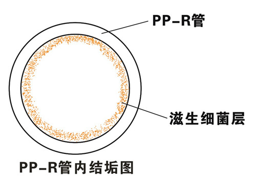 PP-R滲氧，易滋生細菌，有異味；腐蝕金屬連接件，降低使用壽命